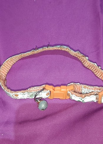 Renkli Kedi Boyun Tasması Çanlı