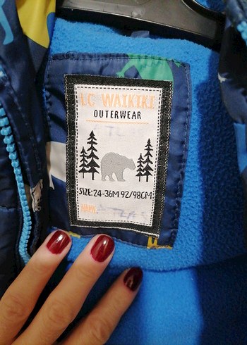 Kapüşonlu Renkli Fermuarlı Erkek Çocuk Mont - Görsel 7