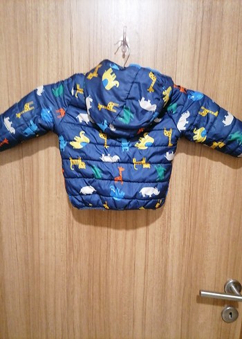 Kapüşonlu Renkli Fermuarlı Erkek Çocuk Mont - Görsel 2