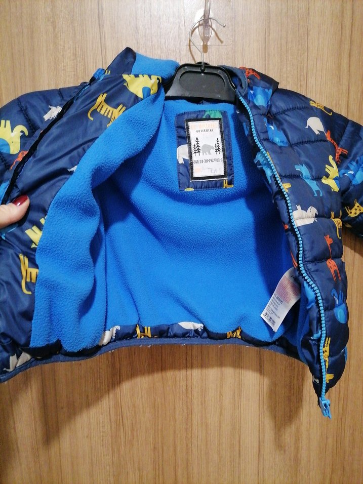 Kapüşonlu Renkli Fermuarlı Erkek Çocuk Mont - Görsel 5