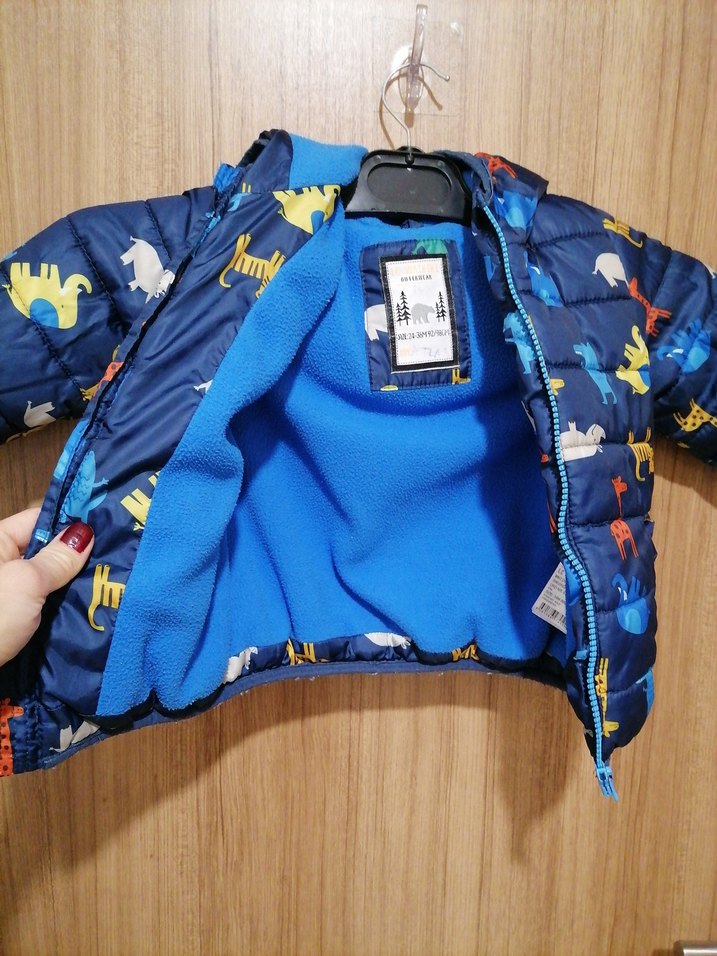 Kapüşonlu Renkli Fermuarlı Erkek Çocuk Mont - Görsel 3