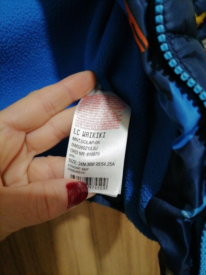 Kapüşonlu Renkli Fermuarlı Erkek Çocuk Mont - Görsel 4