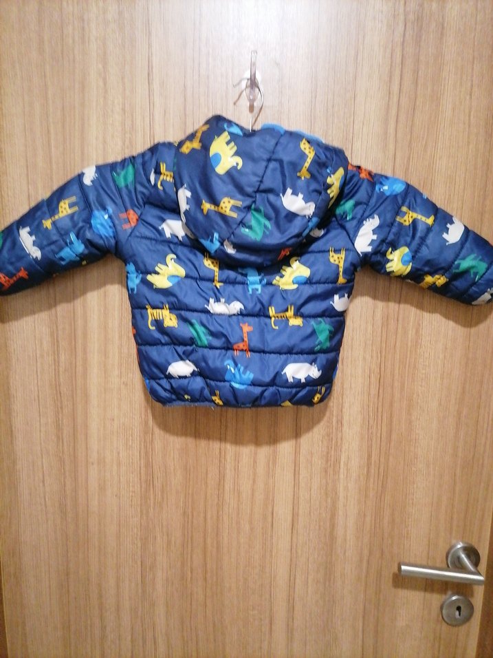 Kapüşonlu Renkli Fermuarlı Erkek Çocuk Mont - Görsel 2