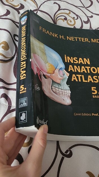  Beden Renk Netter anatomi atlası