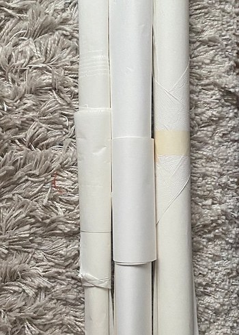 Çin Resim Pirinç Kağıdı kaligrafi - Görsel 4