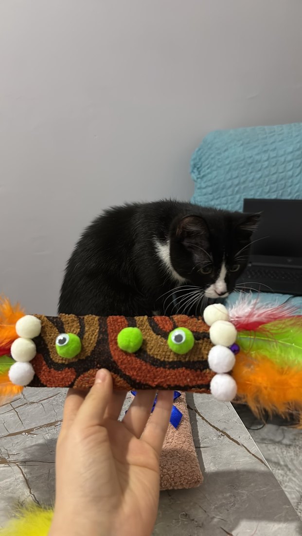 Renkli Tüylü Kedi Oyuncağı - Görsel 2