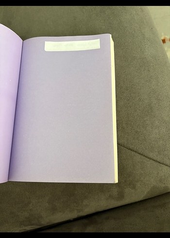 Halime Kaptan - Rıfat Ilgaz - Görsel 4