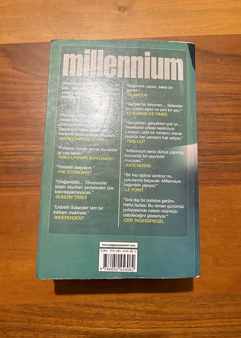 Arı Kovanına Çomak Sokan Kız - Stieg Larsson - Görsel 2