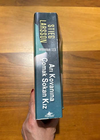 Arı Kovanına Çomak Sokan Kız - Stieg Larsson - Görsel 3