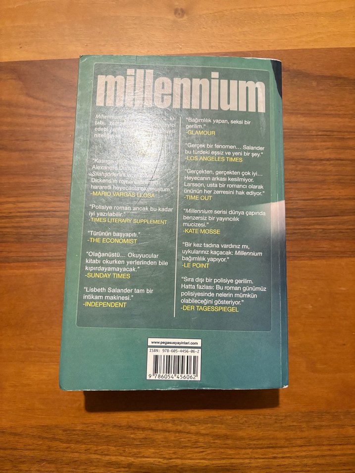 Arı Kovanına Çomak Sokan Kız - Stieg Larsson - Görsel 2