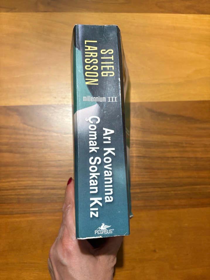 Arı Kovanına Çomak Sokan Kız - Stieg Larsson - Görsel 3