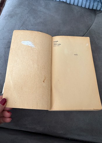 Arthur Hailey'den Ekabir Romanı - Görsel 8