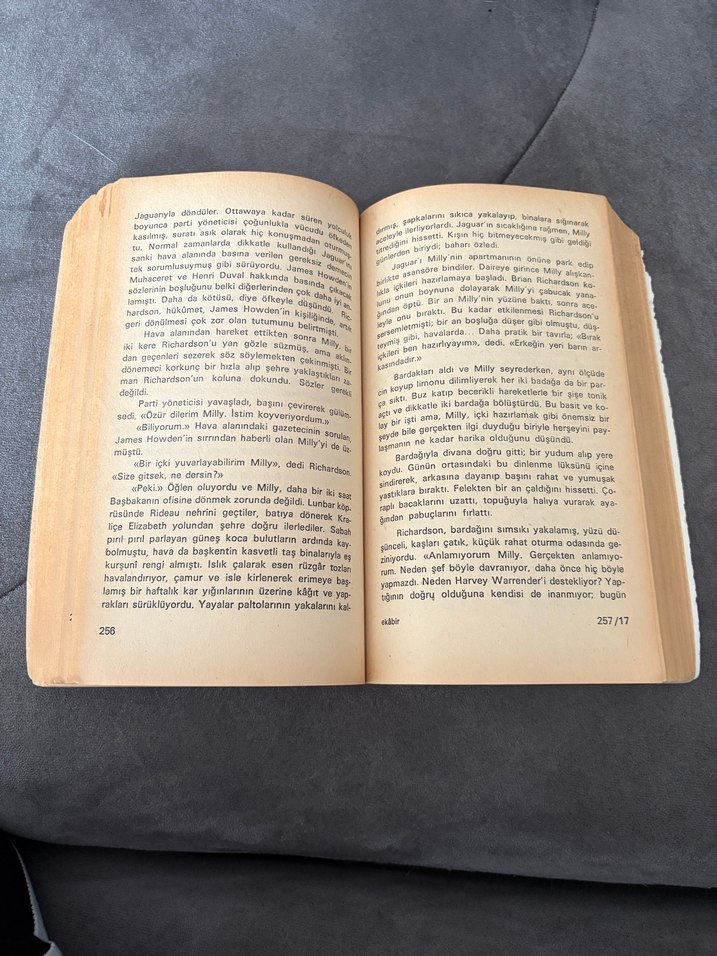 Arthur Hailey'den Ekabir Romanı - Görsel 5