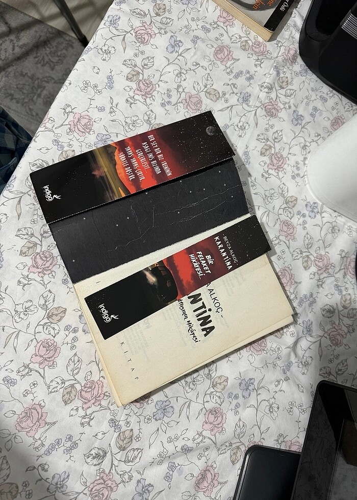 Karantina ?mahşerin dört atlısının hikayesi" - Görsel 4