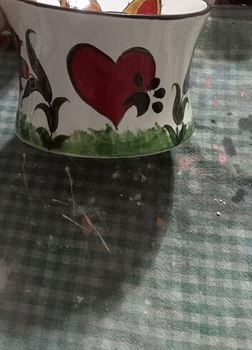  Kedi su kabi