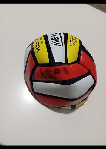 Renkli Voleybol Topu - Görsel 4