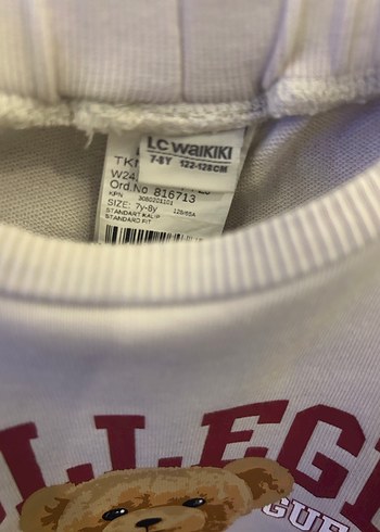 Kız Çocuk Baskılı Sweatshirt ve Eşofman Takımı - Görsel 3