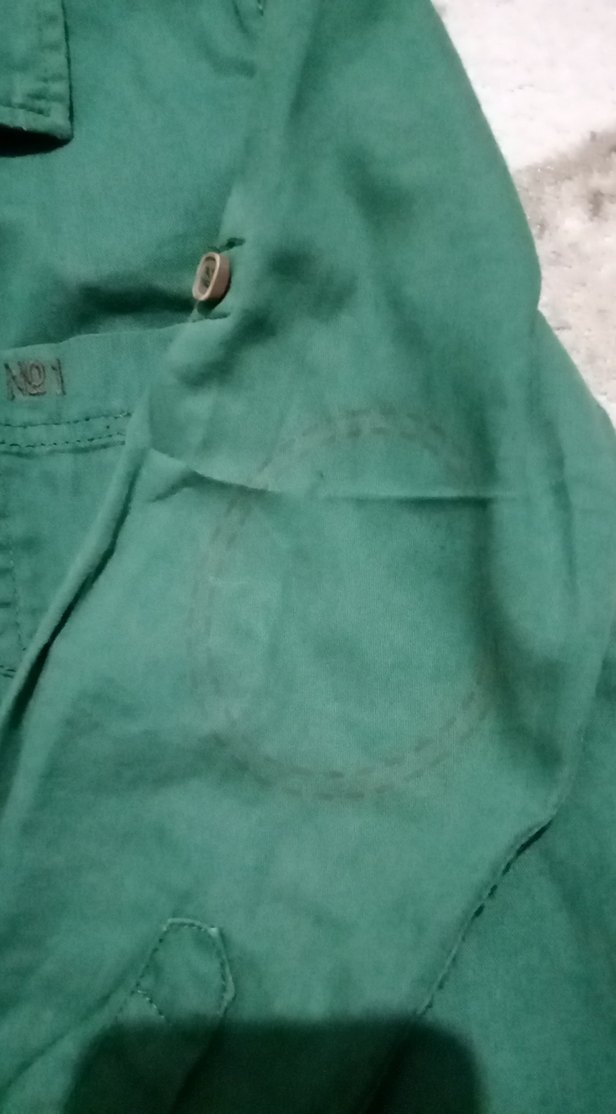 Erkek Çocuk Yeşil Uzun Kollu Pamuk Gömlek - Görsel 3