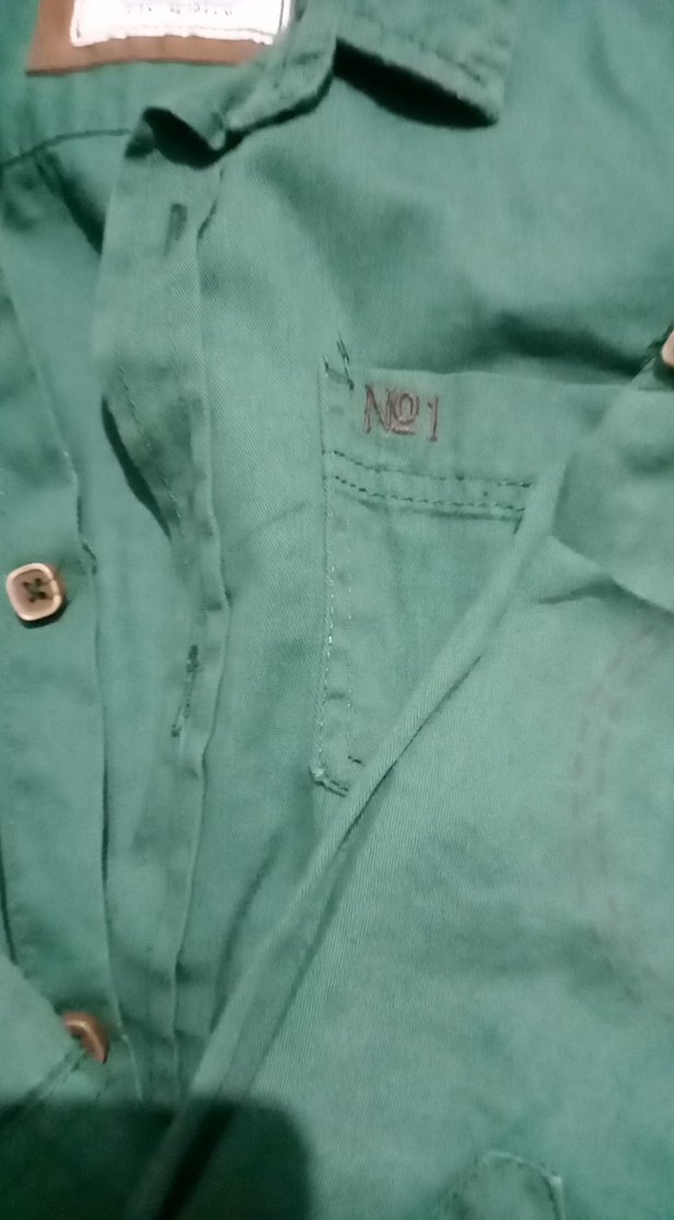 Erkek Çocuk Yeşil Uzun Kollu Pamuk Gömlek - Görsel 4