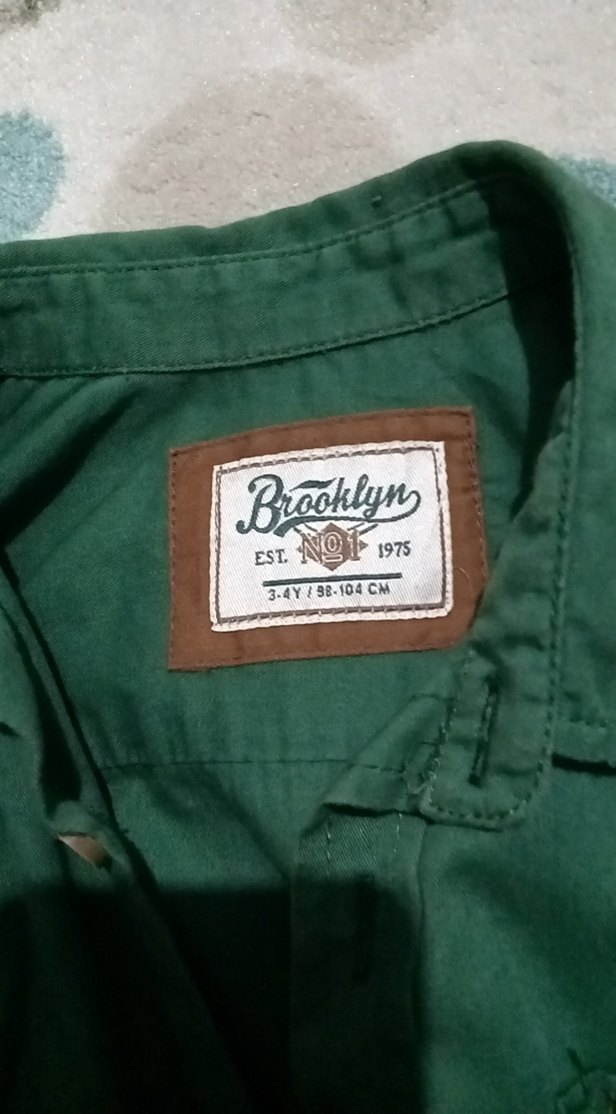 Erkek Çocuk Yeşil Uzun Kollu Pamuk Gömlek - Görsel 2