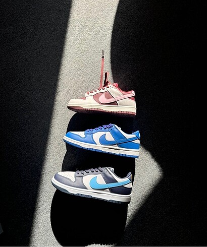 Nike Nike dunk
