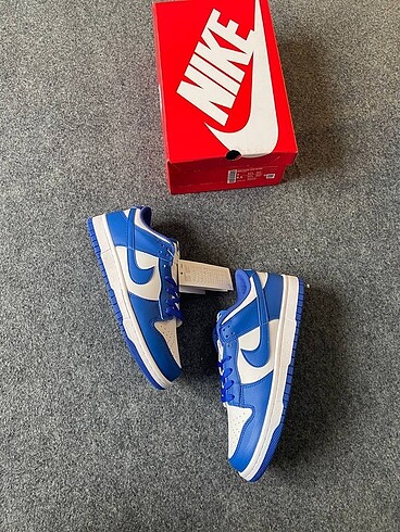 Nike Nike dunk