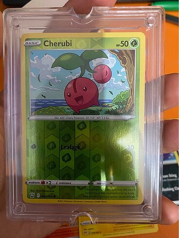  Beden Renk NADİR POKEMON KARTLARI