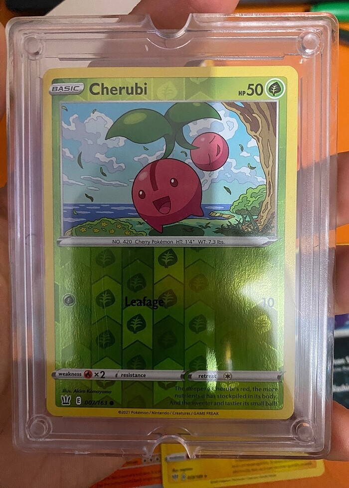 NADİR POKEMON KARTLARI - Görsel 4