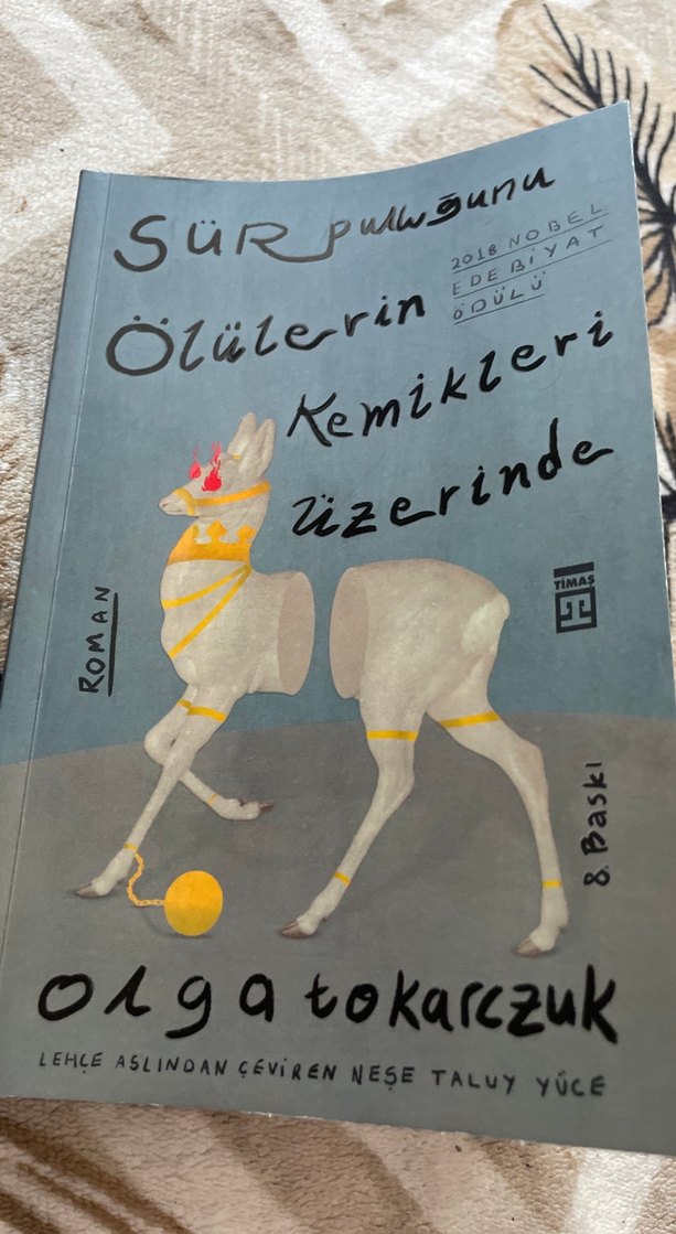 Roman kitap - Görsel 2