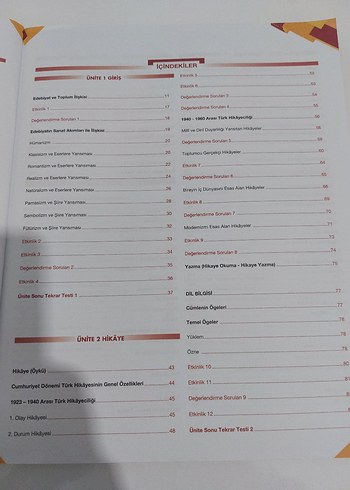  11. Sınıf Türk Dili ve Edebiyatı Konu Anlatımlı Kitap