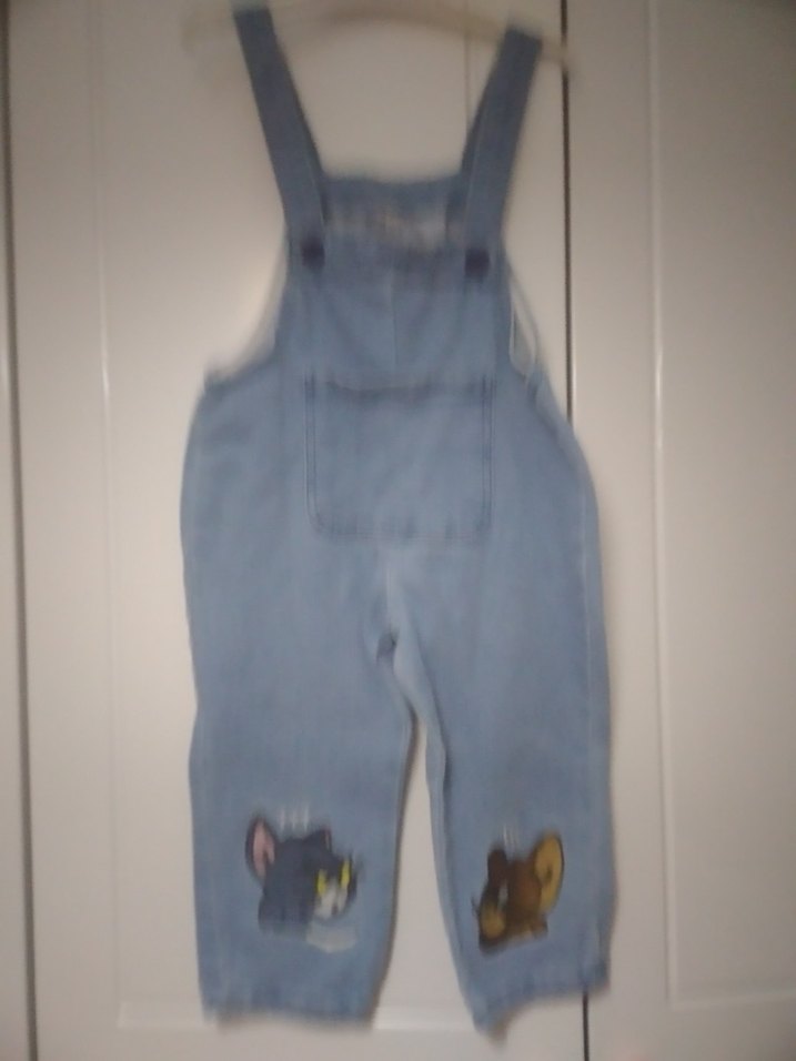 Nakışlı Mavi Kız Kot Tulum - Görsel 3