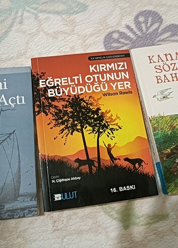  Kitap