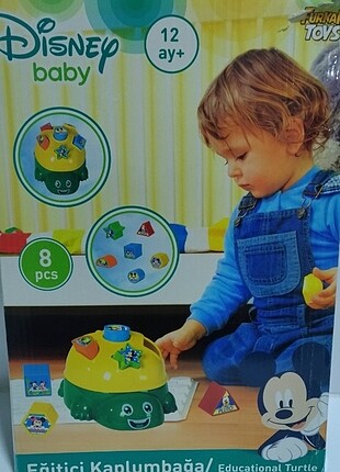 Eğitici kaplumbağa