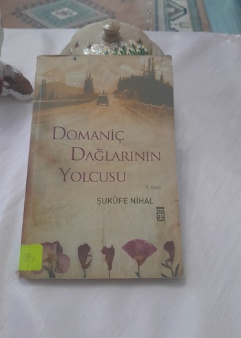 Domaniç Dağlarının Yolcusu - Şukûfe Nihal