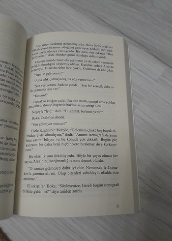 Ferenc Molnár - Pál Sokağı Çocukları - Görsel 3