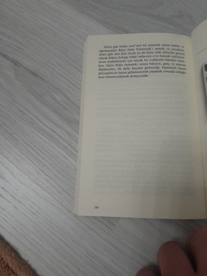 Ferenc Molnár - Pál Sokağı Çocukları - Görsel 4