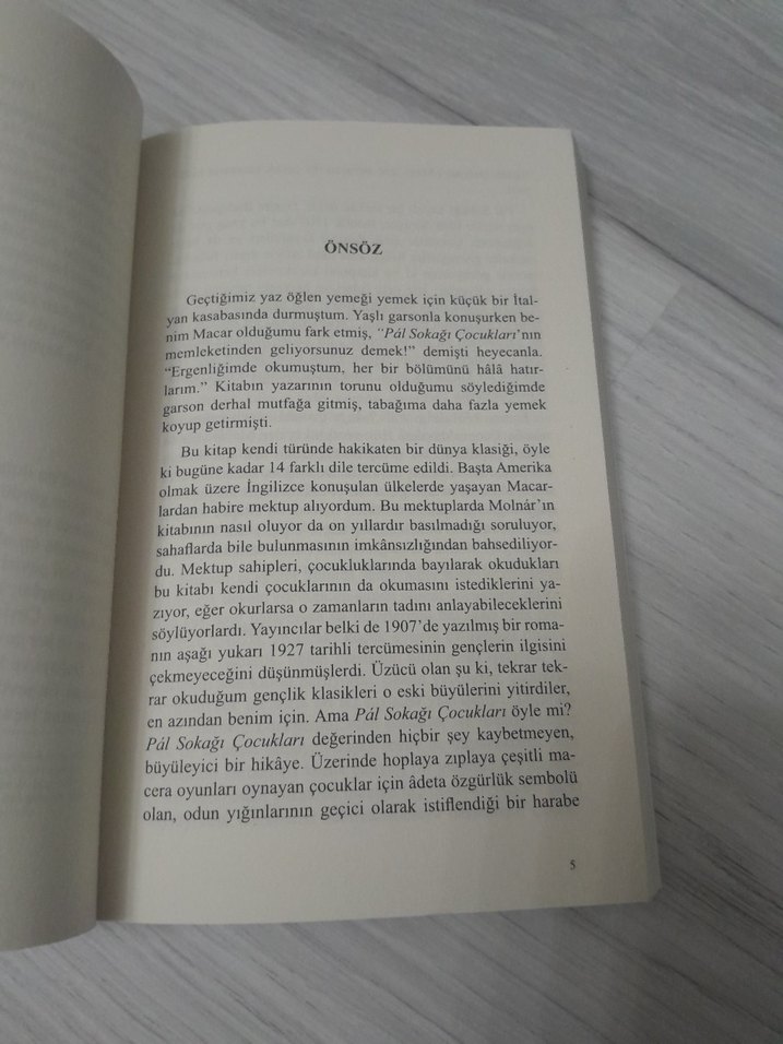 Ferenc Molnár - Pál Sokağı Çocukları - Görsel 2