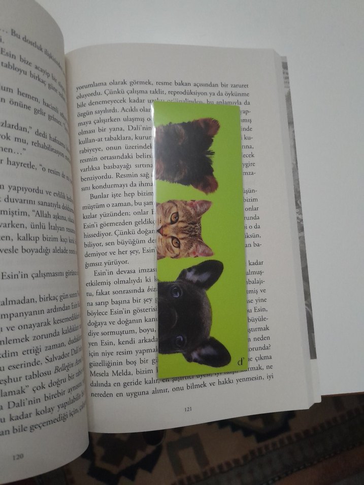 Ayraç Seti - Görsel 3