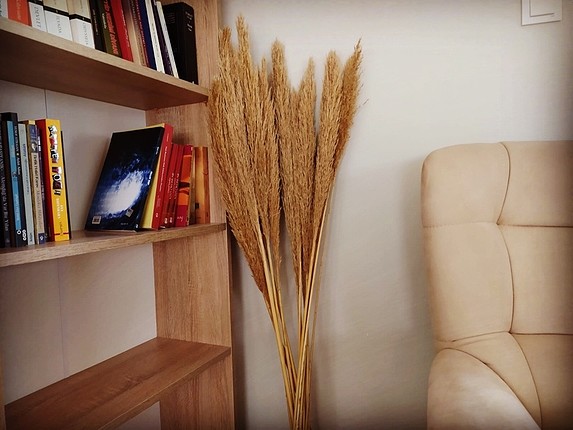 Pampas
