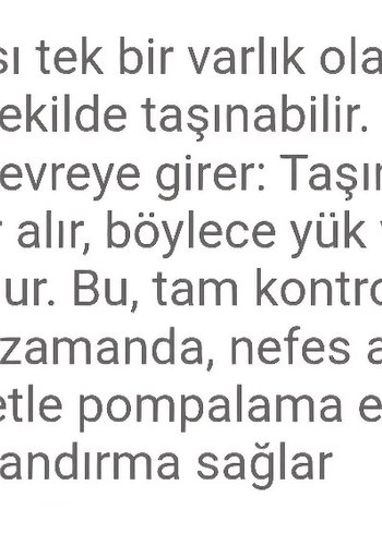 Deuter AC Lite 22l Dağcı Sırt Çantası - Görsel 9