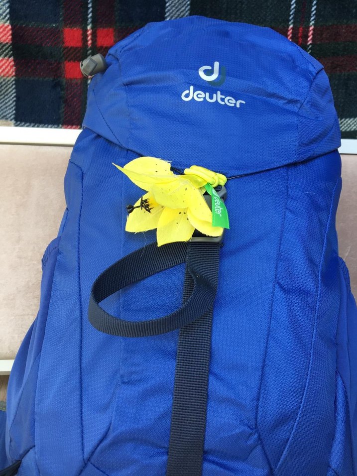 Deuter AC Lite 22l Dağcı Sırt Çantası - Görsel 3