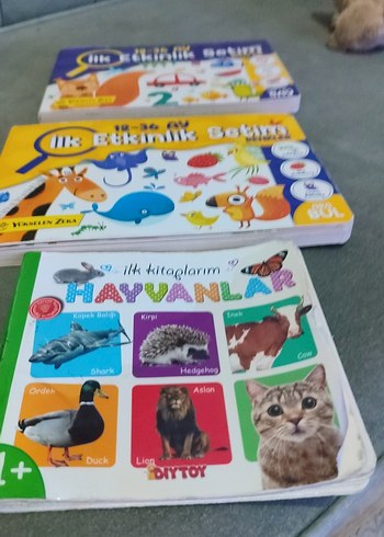İlk Kitaplar Hayvanlar ve Etkinlik Seti - Görsel 2