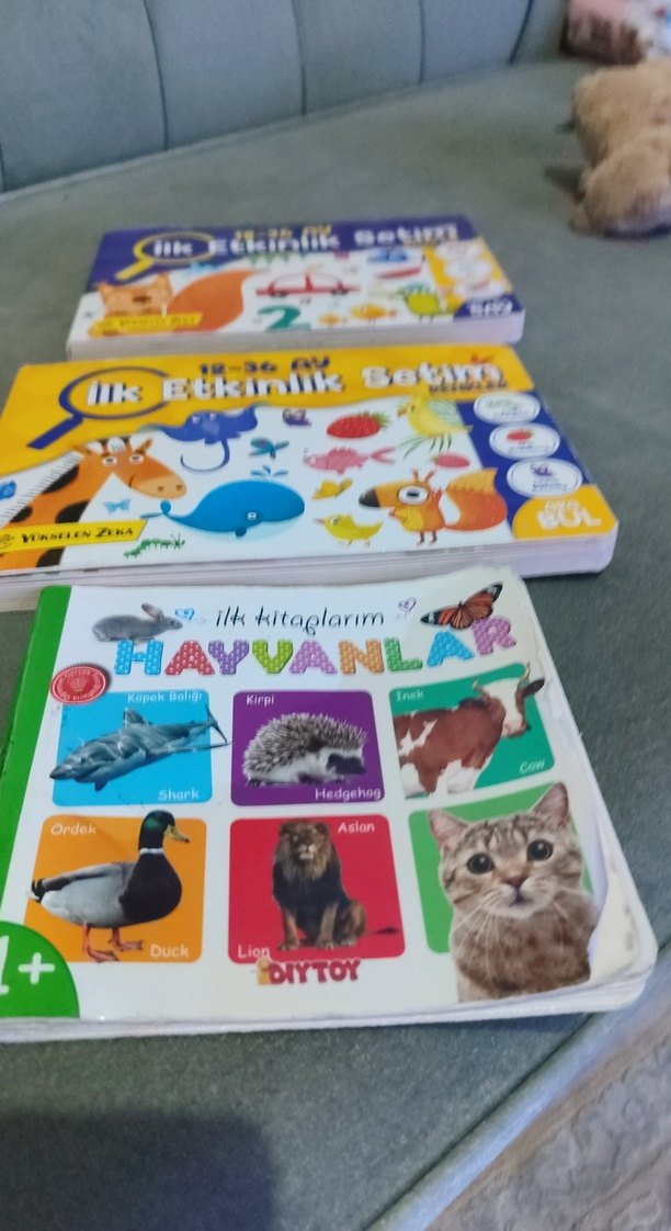 İlk Kitaplar Hayvanlar ve Etkinlik Seti - Görsel 2