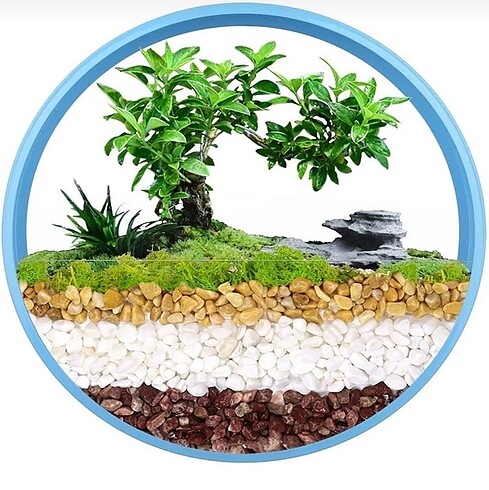 Diğer Dekoratif Duvar Saksısı