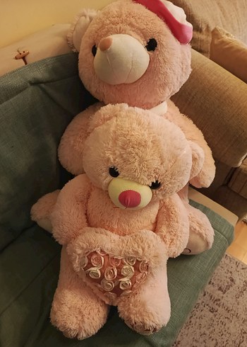 Pembe Peluş Ayıcık Seti - Görsel 5