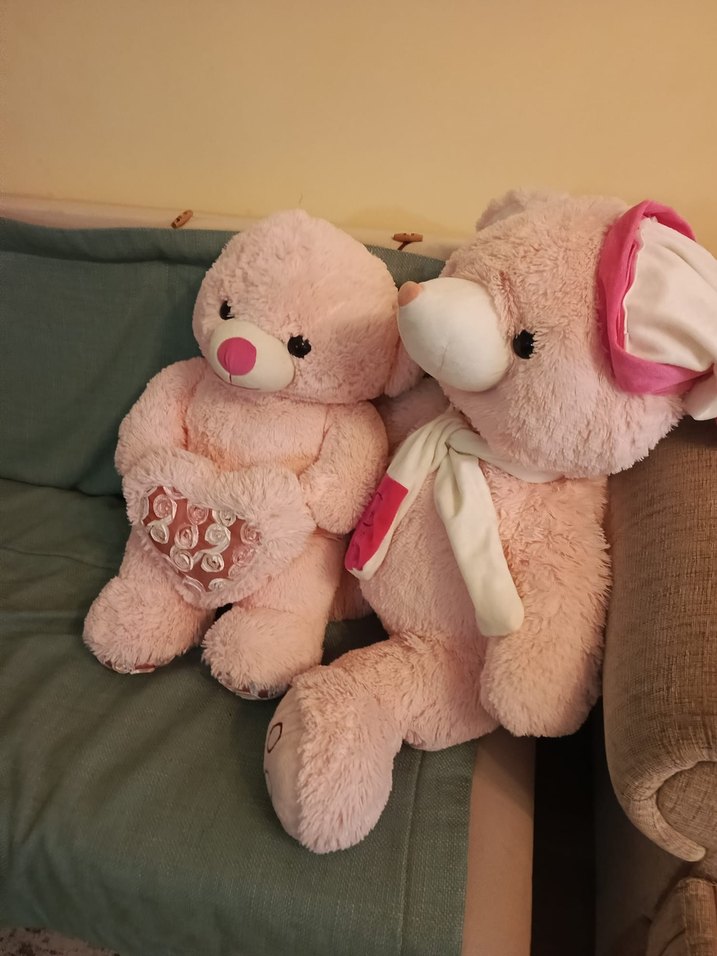 Pembe Peluş Ayıcık Seti - Görsel 3