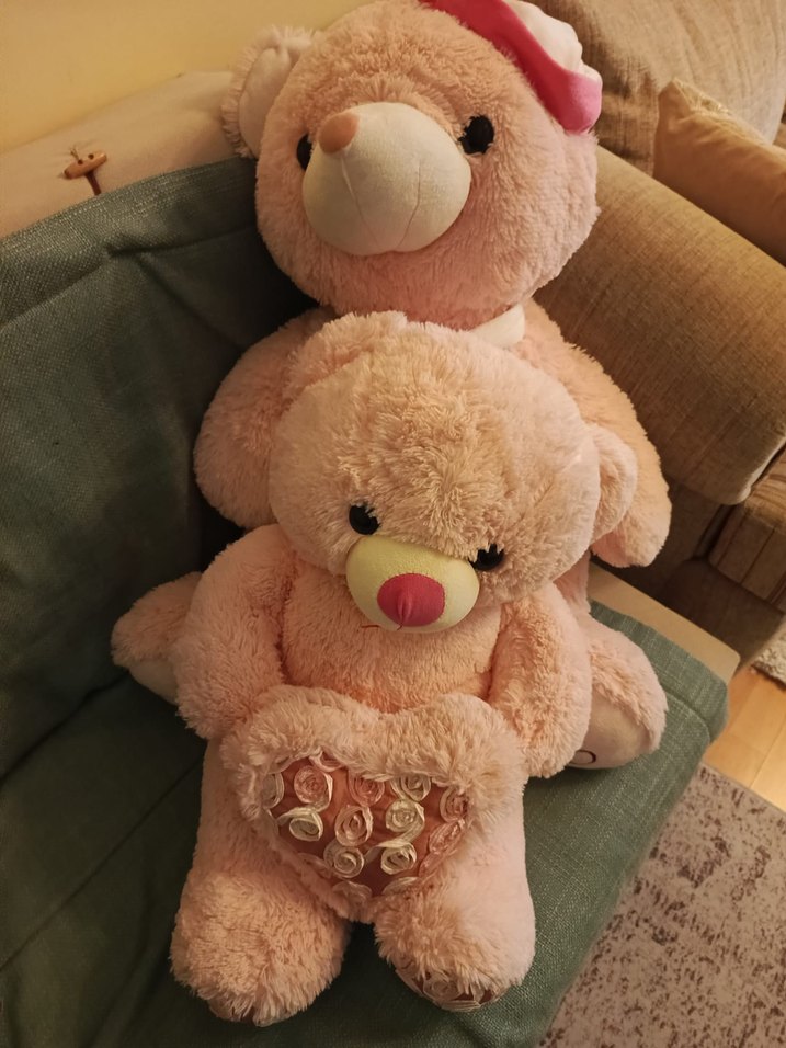 Pembe Peluş Ayıcık Seti - Görsel 5