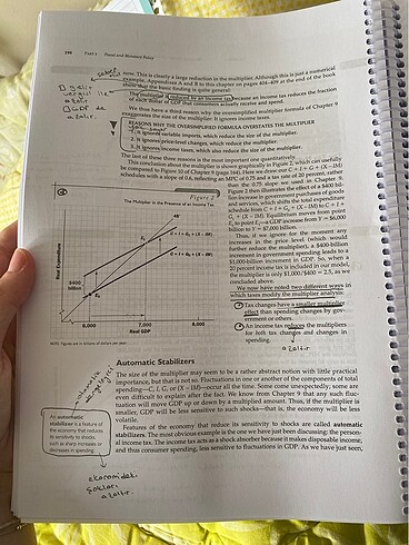  Beden Micro economics