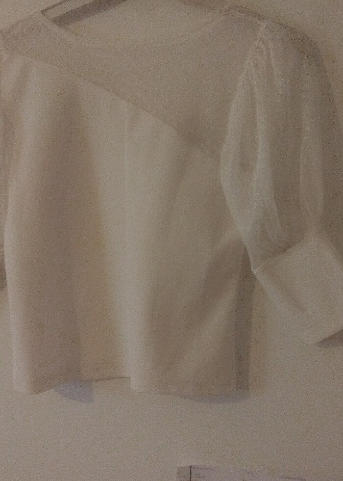 Yazlık iç gösteren buluz  - Görsel 2