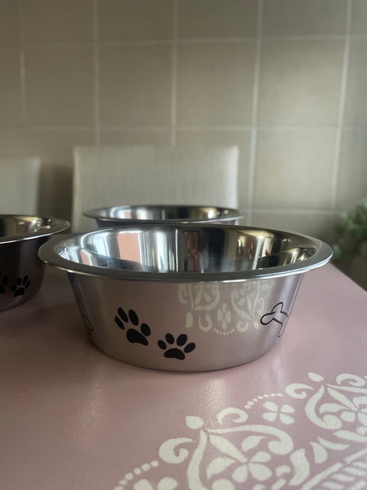 3 adet Gümüş Desenli Metal Mama Kabı, Rulo, Kürek Set - Görsel 4